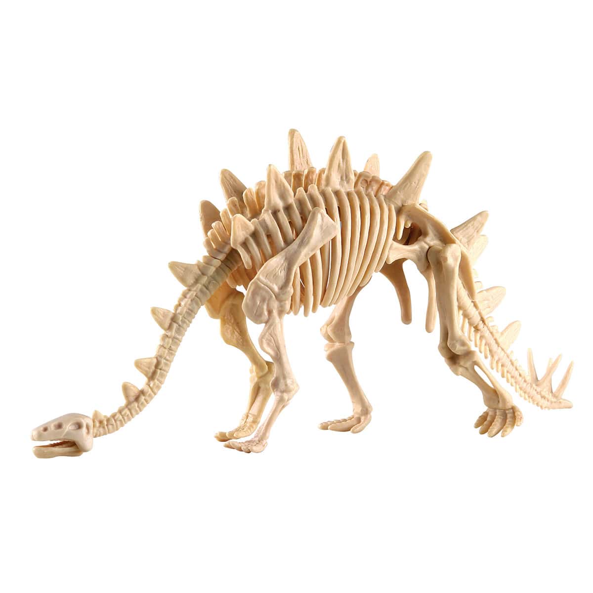 恐竜発掘キット ステゴザウルス