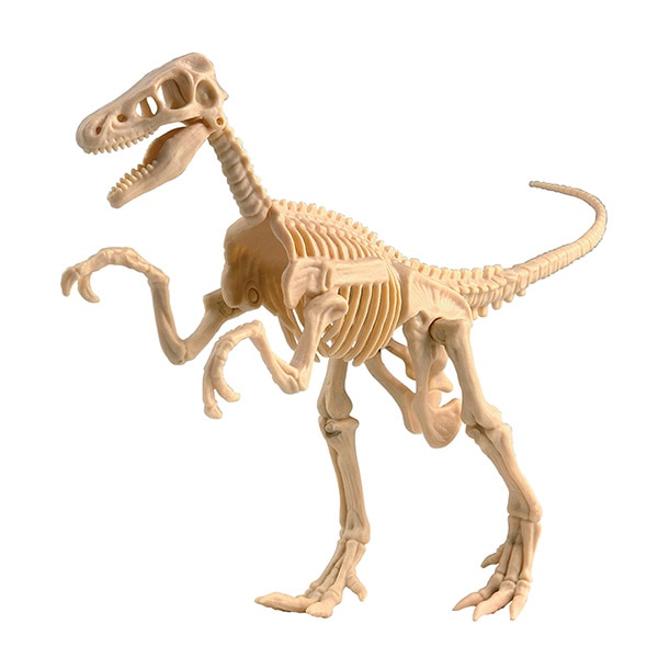 恐竜発掘キット ヴェロキラプトル