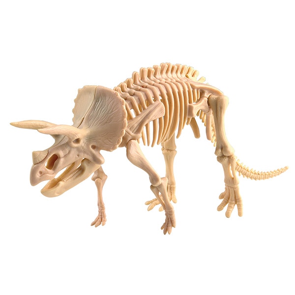 恐竜発掘キット トリケラトプス